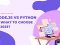 Node.js vs Python — What to Choose in 2023?
