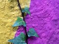 Patterns of Software Resilience