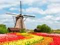 Dutch chip-making specialist ASML rifles through pockets of rival XTAL: Nice IP. We'll be having that