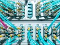 Biden Announces His Broadband Plan—and ISPs Will Hate It