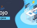 What is POJO Class in Java ?