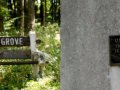US Navy maintains 50k acre oak grove for 1 wooden ship
