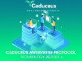 Technology Report 3
