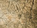 ? Understanding Python’s map() Function for Cleaner Code