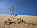 Living A DRY Life