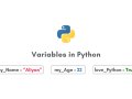 What Every Python Beginner Should Know About Variables