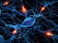 System #8: Dopamine Detox