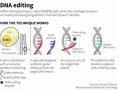 Exploring the Future of Gene Editing: A Promising Frontier in Science