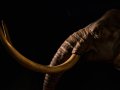 Creating a Python PostgreSQL connection for absolute beginners