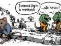 Things I Miss About Go (and What Zig Gave Me Instead)
