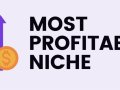 Most High-Earning Freelance Niches in 2024 : Where Freelancers Make $150+ Per Hour