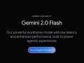 Google Gemini 2.0 Flash Best AI Editor Watermark Remover for Images & Videos