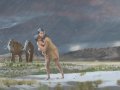 Fossil footprints: the longest known prehistoric journey