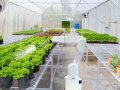 New Innovation in Precision Irrigation Boosts Crop Yields and Water Conservation