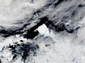 Gargantuan Iceberg on Island Collision Course: Penguins and Seals at Risk