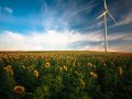 The Key to Buy Time for a Renewable Future