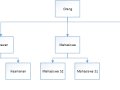 Apakah Object Oriented Merupakan Paradigma Pemrograman Terbaik?