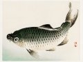 Is This Mail Real? A Deep Dive on Phishing