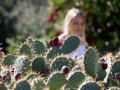 7 of the Bay Area’s best botanical gardens to explore right now