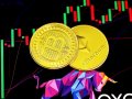 Unlocking Memecoin Profits: Minting Your Way to Success