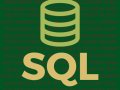 Guia de Sobrevivência: O básico que você precisa saber sobre SQL