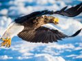 Why Data Scientists Should Learn Dynamic Programming
