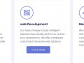 Crazy Developers (crazydevelopers.in)Best Web Development Company Alwar
