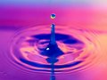The DRIP Network: The Simplest Way to Earn 365% APY and Put That Money to Work!