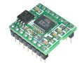 Processing with WT588D Audio Module