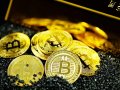 How to Become a Highly Paid Blockchain Developer in 2025 [step-by-step]
