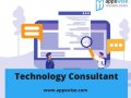 For what reason do you want an Technology Consultant Company