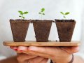 Grow as a Software Developer by Learning Multiple Programming Languages