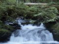 Process DynamoDB streams with Lambda