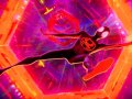Everything new on Disney+ in May 2025: Spider-Man Across the Spider-Verse, Andor season 2, Doctor Who season 2 and more