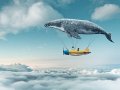 The Nature of Dreams