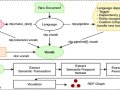 Implemented Natural Leaning Processing Projects
