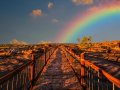 Code to Low-code: It’s A Happy Journey