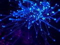 5 Promising Niche Tech Spaces for 2023.