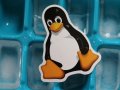 How to Optimize Your Linux Environment for Web Development