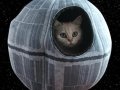 Star Wars Death Star cat cave lets the furce be with Fluffy