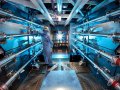 Major Nuclear Fusion Energy Breakthrough to Be Announced by Scientists
