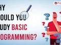 Why should you study Basic Programming?