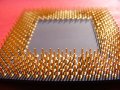 Why AMD Stock is Down Today: A Complete Overview