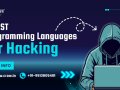 Best 5 Programming Languages for Hacking in 2025