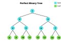 Binary Trees