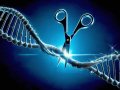 CRISPR Advancements: New Breakthroughs in Gene Editing