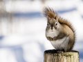 Are You Still Not Processing Data Streams with Flink?