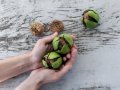 How To Seed Database From a CSV File In Laravel