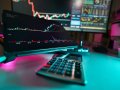 Pine Script vs Python: Which One Should You Use for Algorithmic Trading?