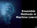 Ensemble Methods in Machine Learning: Harnessing the Power of Collective Intelligence (Beginner’s Guide)